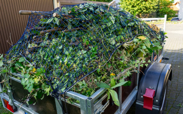 Yard debris removal in DFW